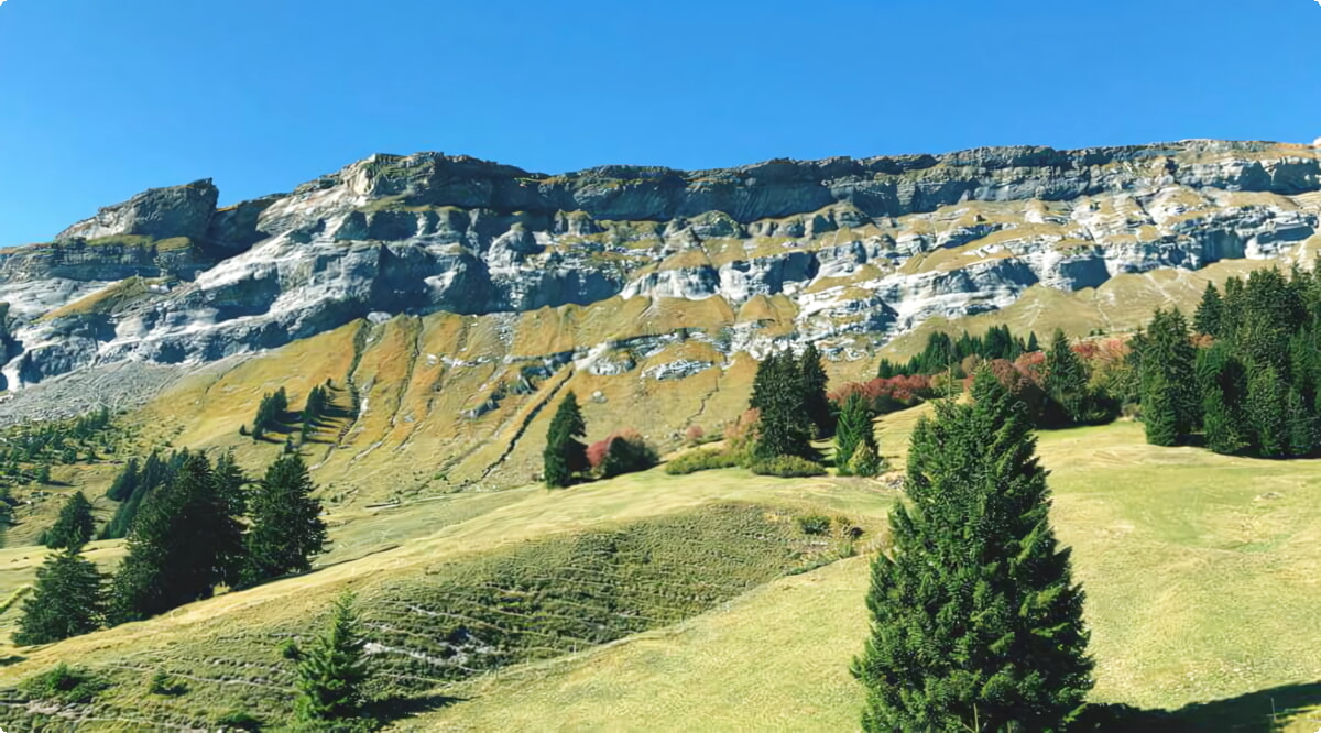 Top autoverhuur aanbiedingen in Laax